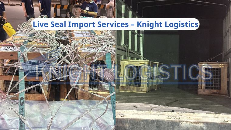 Live Seal Import Services – Knight Logistics3