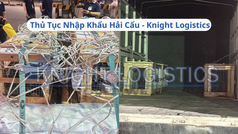 THỦ TỤC NHẬP KHẨU HẢI CẨU TẠI KNIGHT LOGISTICS1